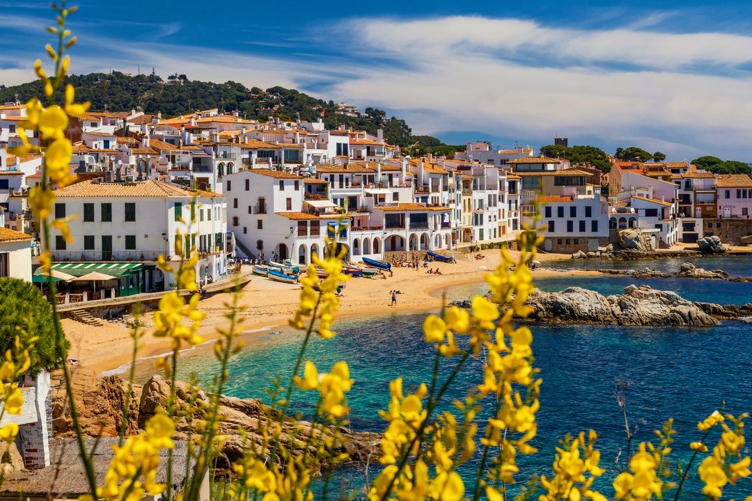 A white coastal village above a turquoise bay, framed by yellow flowers, edited by Maren