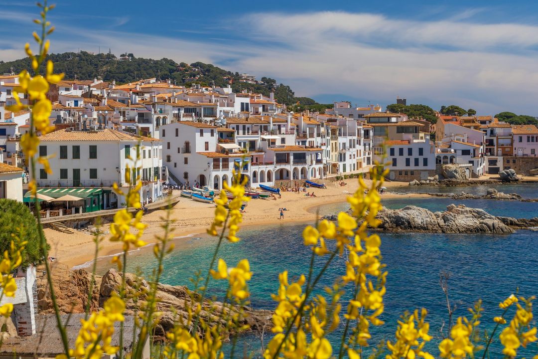 A white coastal village above a turquoise bay, framed by yellow flowers