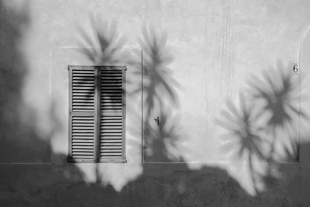 Wooden shutters on a sunlit wall crossed by palm shadows, edited by Ivo