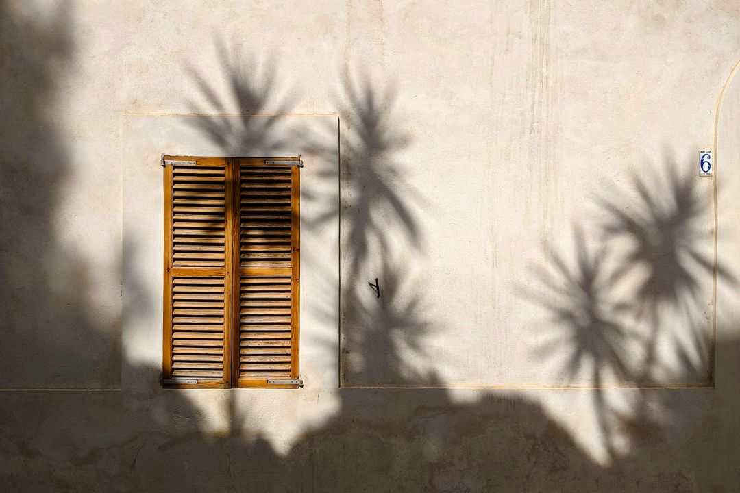 Wooden shutters on a sunlit wall crossed by palm shadows, edited by Maren