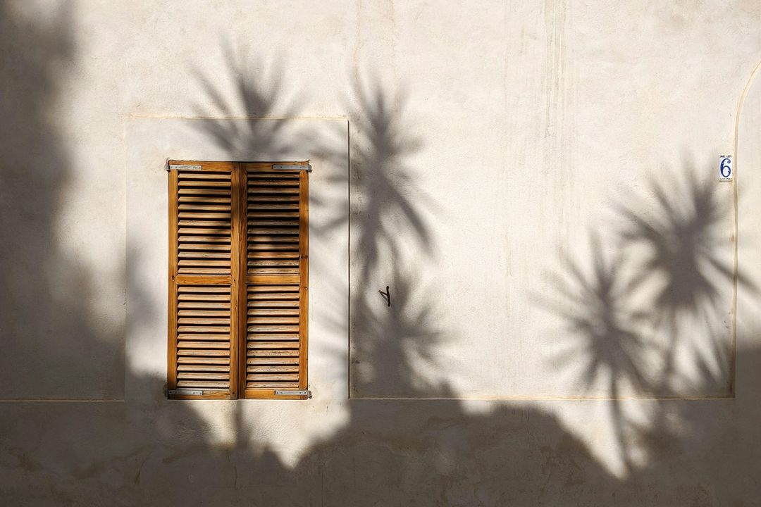 Wooden shutters on a sunlit wall crossed by palm shadows