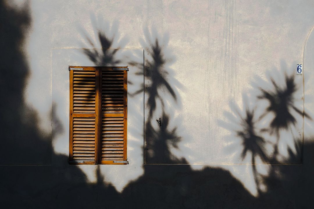 Wooden shutters on a sunlit wall crossed by palm shadows, edited by Rafe