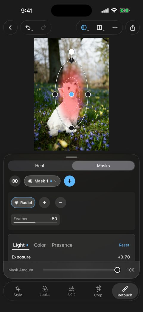 Tonalier on iPhone: a radial mask over a small white dog, with the mask’s own Light controls below.