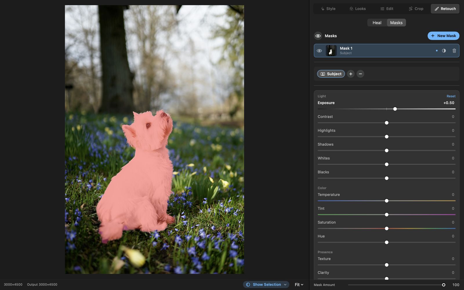 Tonalier on Mac: a Subject mask covers a small white dog, with the mask’s own Light and Color sliders beside it.